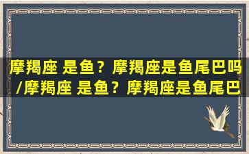 摩羯座 是鱼？摩羯座是鱼尾巴吗/摩羯座 是鱼？摩羯座是鱼尾巴吗-我的网站